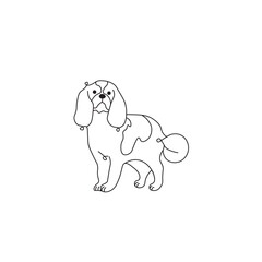 One line drawing. Dog Vector illustration.  Spaniels breed