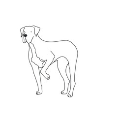 One line drawing. Dog Vector illustration.  Great Danes breed
