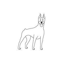 One line drawing. Dog Vector illustration. Doberman breed