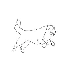 One line drawing. Dog Vector illustration.  Bernese Mountain Dogs breed