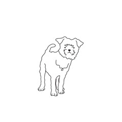 One line drawing. Dog Vector illustration. Yorkshire Terriers  breed
