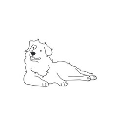 One line drawing. Dog Vector illustration. Australian Shepherds breed