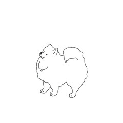 One line drawing. Dog Vector illustration. Pomeranians breed