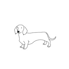 One line drawing. Dog Vector illustration. Dachshunds breed
