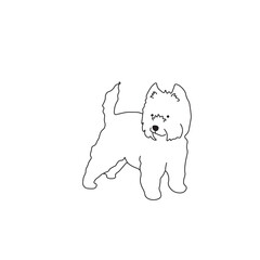One line drawing. Dog Vector illustration. West Highland White Terrier breed