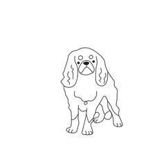 One line drawing. Dog Vector illustration. English Toy Spaniel breed