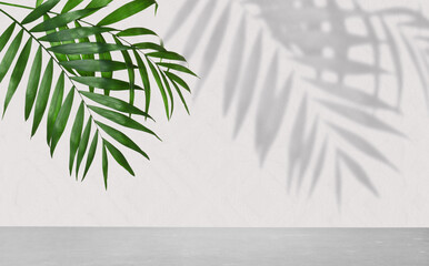 Tropical leaves over grey table casting shadow on white background - obrazy, fototapety, plakaty