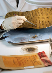 Police scientist extracts shoe sole fragments for crime lab analysis, conceptual image
