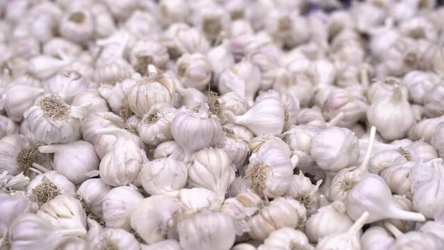 Garlic is being sold in the market.