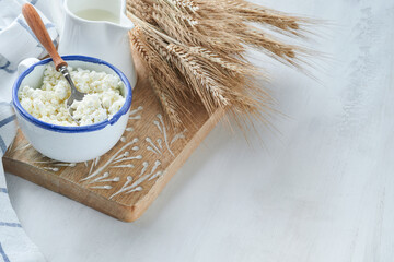 Shavuot jewish holiday celebration. Kosher fresh dairy products milk and cheese, ripe wheat, cream on white wooden background. Dairy products over white wooden background. Shavuot concept. Top view.