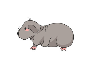 Gray Skinny Pig Cartoon Vector Illustration. Isolated icon on white background.