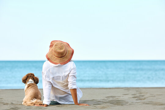 Rear view of woman with dog relaxing on sand on beach.