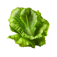 fresh green lettuce created with Generative AI
