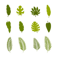 Set of tropical leaves. Vector illustration.	