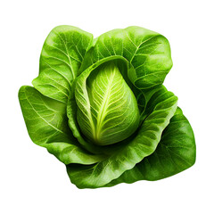 Fototapeta na wymiar fresh green lettuce created with Generative AI