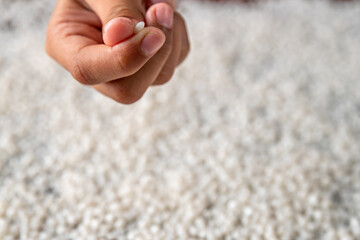 White plastic grain, plastic polymer granules,hand hold Polymer pellets, Raw materials for making water pipes, Plastics from petrochemicals and compound extrusion, resin from plant polyethylene.