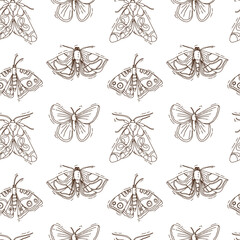 hand drawn butterflyoutline vector seamless pattern