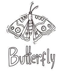 hand drawn butterfly outline vector illustration