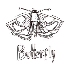 hand drawn butterfly outline vector illustration