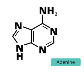 acid, adenine, agct, atoms, base, bond, carbon, chemical, chemistry, code, composition, compound, deoxyribonucleic, deoxythymidine, dna, drawing, flat, formula, icon, isolated, line, metabolism, molec