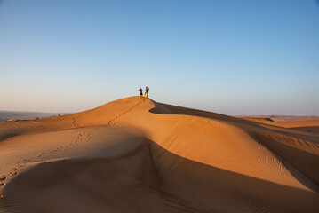 Fototapeta na wymiar Walking in desert sand dunes, Wahiba Sands, Ash Sharqiyah, Oman