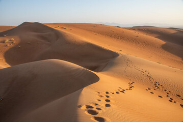 Fototapeta na wymiar Desert solitude in the Wahiba Sands, Al Wasil, Oman