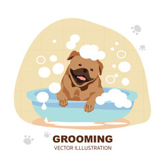 Grooming. Dog Pug Pet Washing in the Bath with Soap Foam in the Bathroom. Grooming Concept. Vector Cartoon Style Illustration.