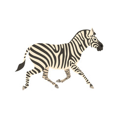 Fototapeta na wymiar Animal illustration. Running zebra drawn in a flat style. Isolated object on a white background. Vector 10 EPS