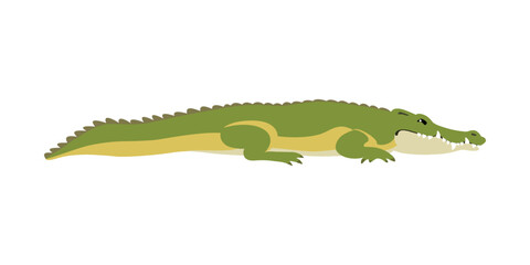 Animal illustration. Lying crocodile drawn in a flat style. Isolated object on a white background. Vector 10 EPS
