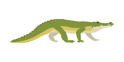Animal illustration. Walking crocodile drawn in a flat style. Isolated object on a white background. Vector 10 EPS