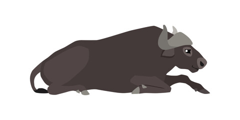 Animal illustration. Lying buffalo drawn in a flat style. Isolated object on a white background. Vector 10 EPS