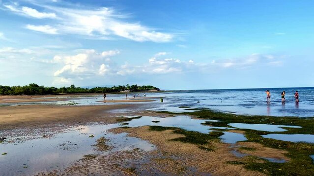 At low tide, people collect algae and mollusks and arthropods, crabs run to the shallows