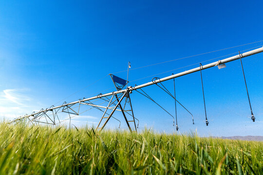 Center pivot crop irrigation or irrigation system for farm management. Watering system in the field. An irrigation pivot watering a field