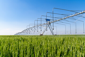 Center pivot crop irrigation or irrigation system for farm management. Watering system in the...