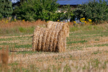 straw bale © Marek Polak
