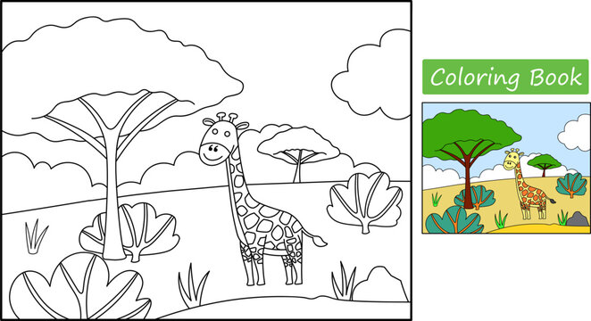 Coloring pages with pictures of giraffes. Learn to color. Giraffe in africa. Education of preschoolers. Vector