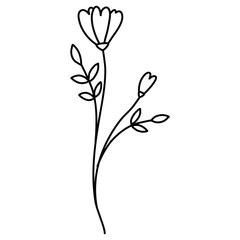 Black and white line art floral 