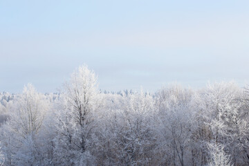 Obraz na płótnie Canvas Picturesque and gorgeous winter scene. Winter landscape