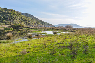 wetlands at Tuzla beach near Kucukbahce (Karaburun, Izmir province, Turkiye)