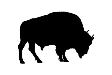 Bison silhouette isolated on a white background. Vector illustration