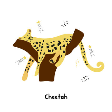 Relaxing cheetah is lying down on the tree isolated on white background. Vector illustration.