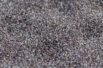 a close-up of a pile of poppy seeds used in cooking