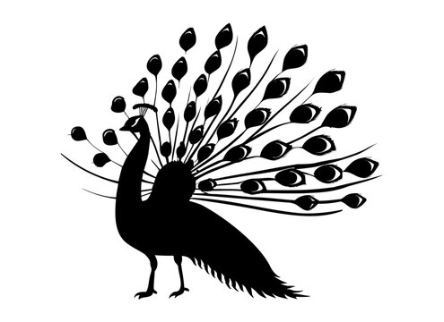 Peacock Silhouette Clip Art