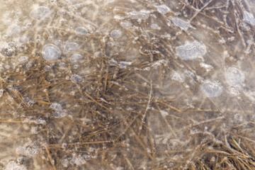 Fototapeta na wymiar frozen dirty water in puddles on the soil