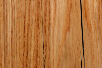 Fototapeta premium wood texture