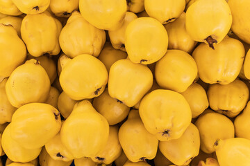 Close-up of golden yellow quinces as a background.