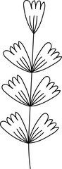 illustration of a flower, black and white flower, botanical vector, outline, illustration, nature, flower, summer