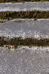 an old ruined concrete and stone staircase in the park