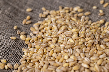 Cheap tasteless barley porridge close-up