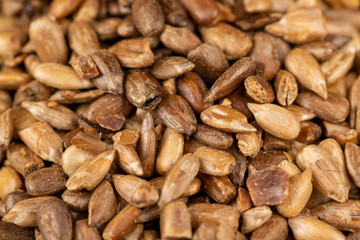 heavily fried sunflower seeds close up